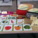 Präsentation: Arbeit an Stationen