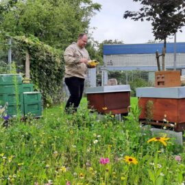 Bienen summen zum Motorenbrummen