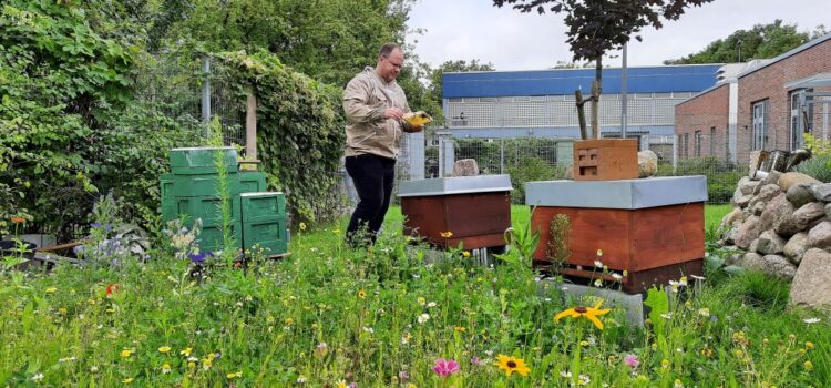 Bienen summen zum Motorenbrummen